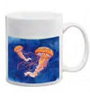 White ceramic mug with two vibrant orange jellyfish floating on a deep blue background.