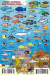 Franko's Caribbean Reef Creatures Guide - Comprehensive waterproof fish identification chart featuring diverse Caribbean marine species including parrotfish, groupers, angelfish, and coral reef inhabitants