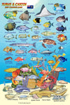 Turks & Caicos Reef Creatures Guide - Waterproof fish identification card showing colorful tropical fish species including Queen Angelfish, French Angelfish, Parrotfish, Triggerfish, and other Caribbean reef fish with names and illustrations