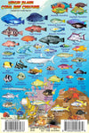 Virgin Islands Coral Reef Creatures Guide - Laminated underwater fish ID card featuring Blue Parrotfish, Nassau Grouper, Yellowtail Parrotfish, Wrasse species, and other tropical fish found in Virgin Islands waters with scientific names