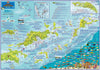 Virgin Islands Sailing Dive Guide - Comprehensive waterproof map showing sailing routes, dive sites, marine life identification, and detailed charts of Virgin Islands waters with fish species illustrations