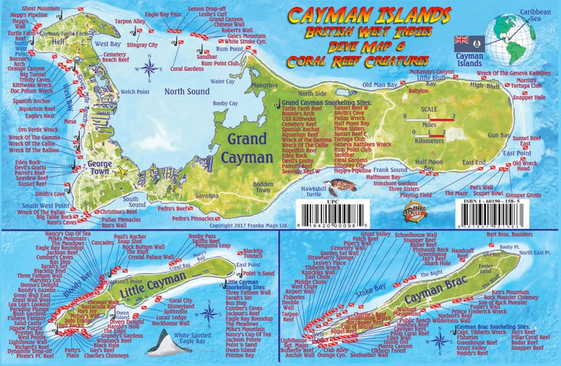 Franko Cayman Island Fish Card - Laminated fish identification card showing tropical Franko Cayman marine species