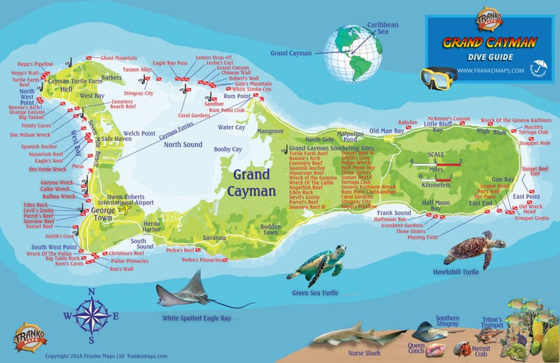 Grand Cayman Dive Guide - Waterproof dive site map of Grand Cayman Island showing popular diving locations, Stingray City, Hawksbill Turtle, Green Sea Turtle, and marine life found in Cayman waters