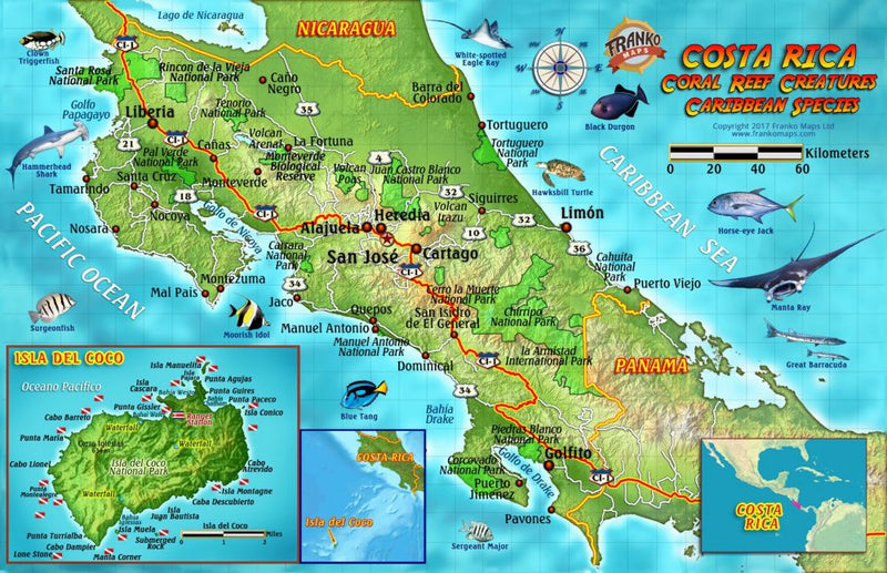 Costa Rica Coral Reef Creatures Caribbean Species Guide - Fish identification card featuring Sergeant Major, Blue Tang, Hawksbill Turtle, and tropical fish species found in Costa Rican Caribbean waters with Isla del Coco inset