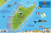 Cozumel Dive Guide & Coral Reef Creatures - Mexican Caribbean fish ID card showing Isla de Cozumel dive sites, Whale Shark, Hawksbill Turtle, and tropical reef fish species with dive location markers