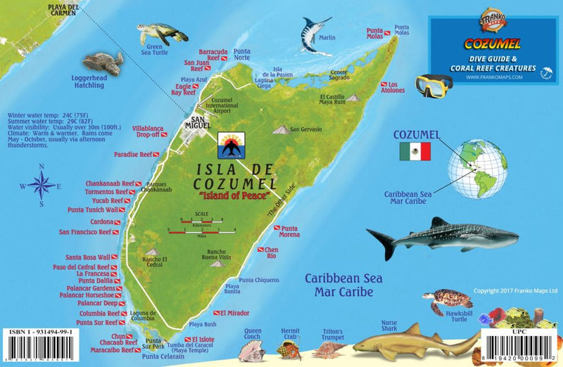 Cozumel Dive Guide & Coral Reef Creatures - Mexican Caribbean fish ID card showing Isla de Cozumel dive sites, Whale Shark, Hawksbill Turtle, and tropical reef fish species with dive location markers