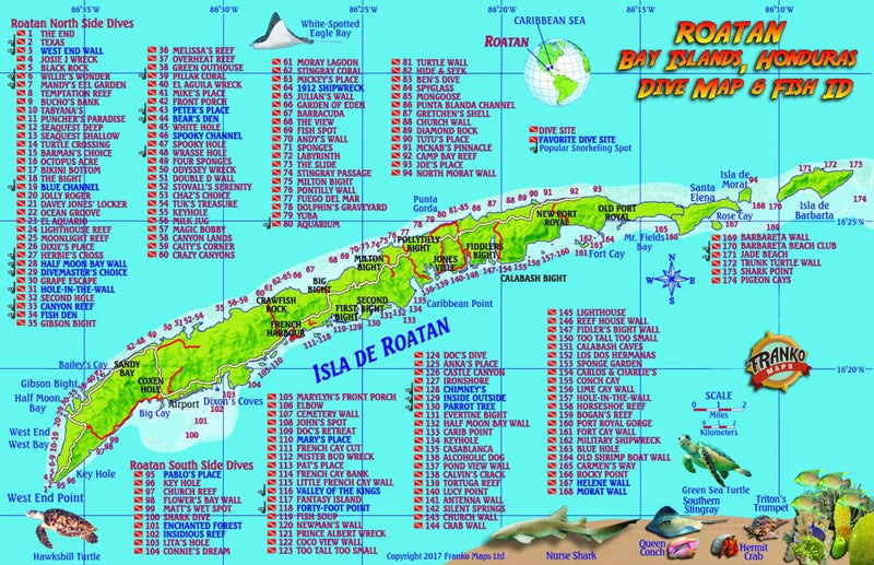 Roatan Bay Islands Honduras Dive Map & Fish ID - Comprehensive diving guide showing numbered dive sites around Roatan Island, Caribbean Sea marine life identification, and detailed underwater topography with fish species illustrations