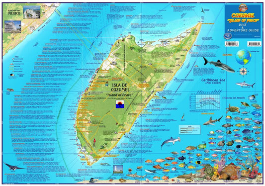 Cozumel Island of Peace dive adventure guide map showing detailed underwater topography, marine life identification, diving sites, and reef locations in the Caribbean Sea