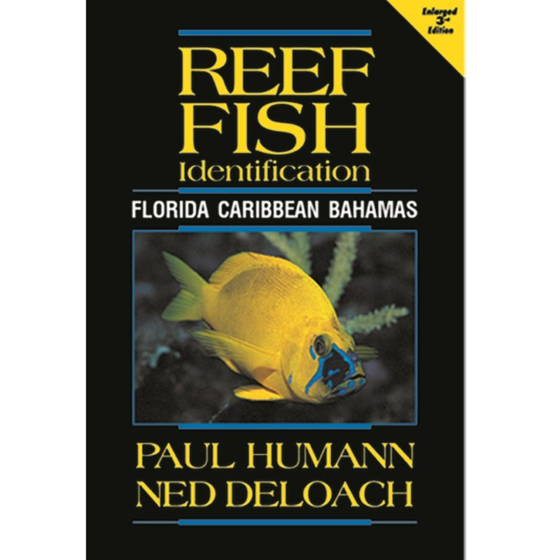 Reef Fish Identification guide for Florida Caribbean Bahamas by Paul Humann and Ned DeLoach - enlarged 2nd edition marine life identification book