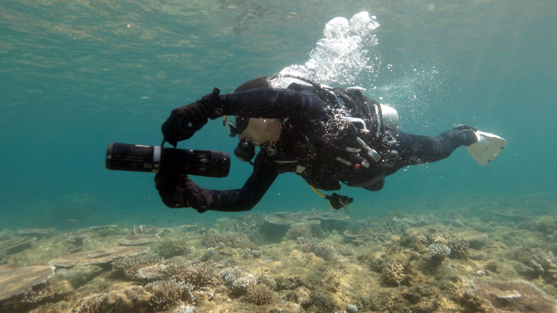 LEFEET P1 XR Scooter – Single (160 Wh Battery)-Scuba Schools of America