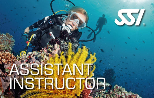 SSI Assistant Instructor Program-Courses-Scuba Schools of America