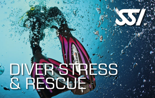 SSI Diver Stress & Rescue Class-Courses-Scuba Schools of America