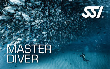SSI Master Diver Program-Courses-Scuba Schools of America