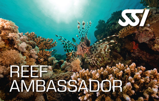 SSI Reef Ambassador Class-Courses-Scuba Schools of America