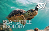 SSI Sea Turtle Ecology Diving Class-Courses-Scuba Schools of America