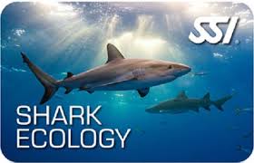 SSI Shark Ecology-Courses-Scuba Schools of America