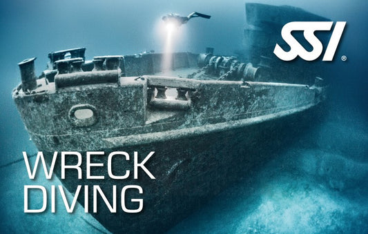 SSI Wreck Diving Specialty-Courses-Scuba Schools of America