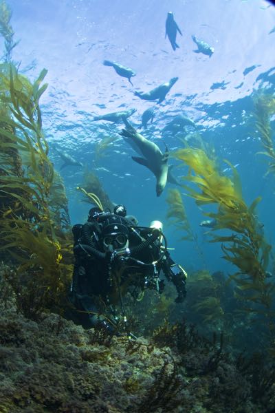 Two Day Adventure Aboard The Pacific Star-Trips-Scuba Schools of America