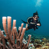 Women's Thermocline Front Zip Long Sleeve Dive Top Product Photo
