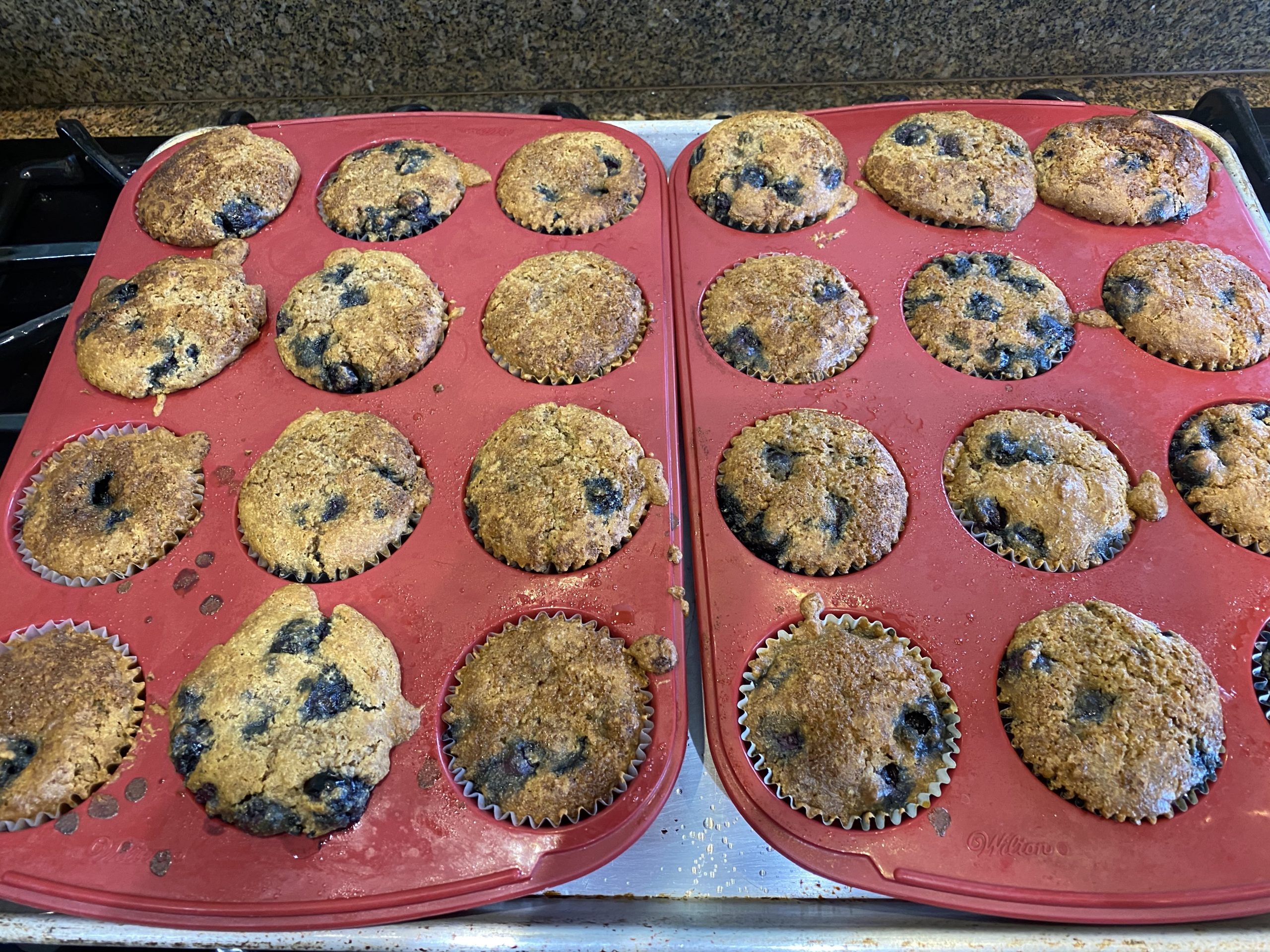 Blueberry Peach Muffins GF DF SF