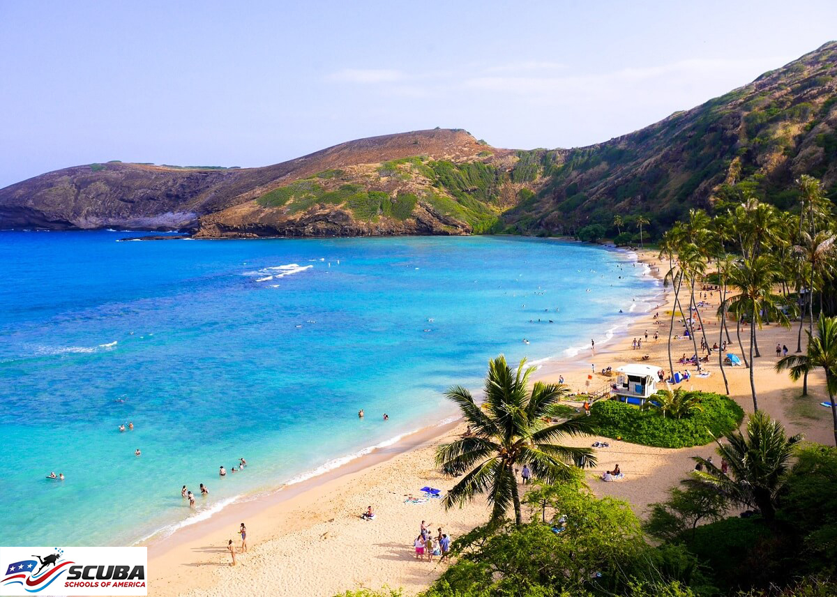 Hawaii for Diving