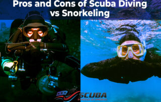 Scuba Diving vs Snorkeling