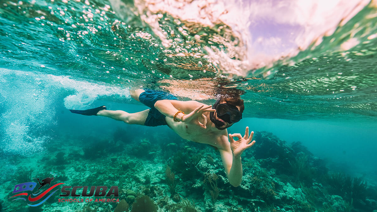 Snorkeling- CA