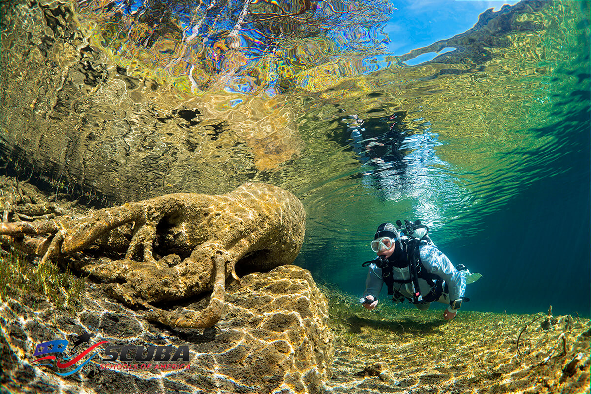 Scuba Diving in CA