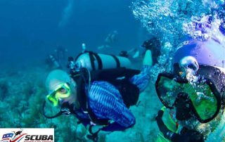 Winter Scuba Diving in Southern California