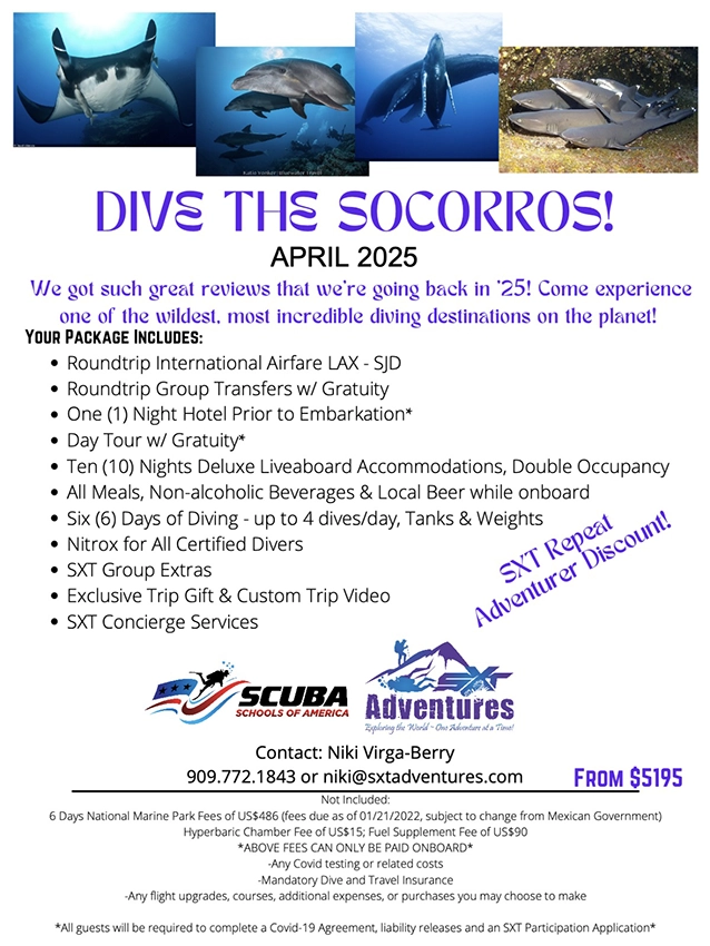 Dive the Socorros- SSA