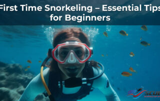 Beginner's Guide to Snorkeling in Montclair California