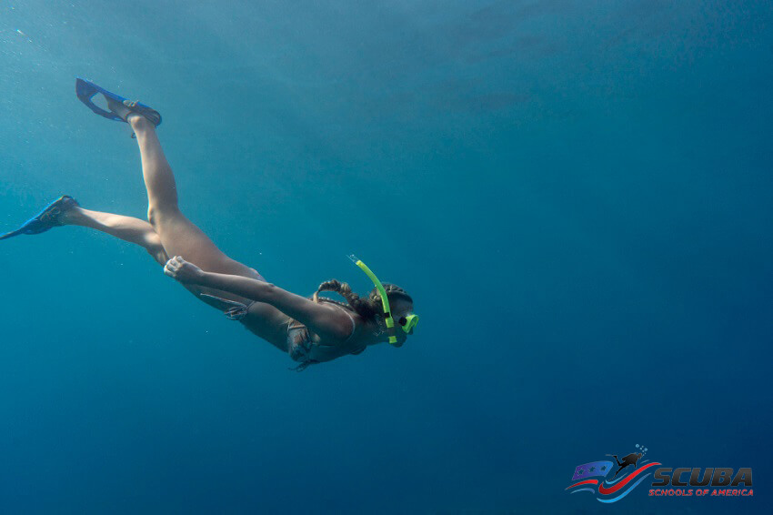 Snorkeling- Scuba Schools of America in Southern California