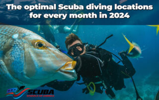 Scuba diving locations for every month in 2024