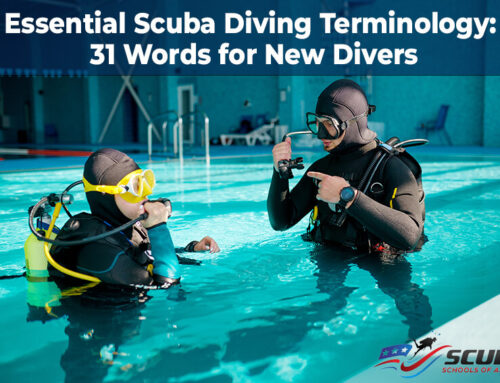 Essential Scuba Diving Terminology: 31 Words for New Divers