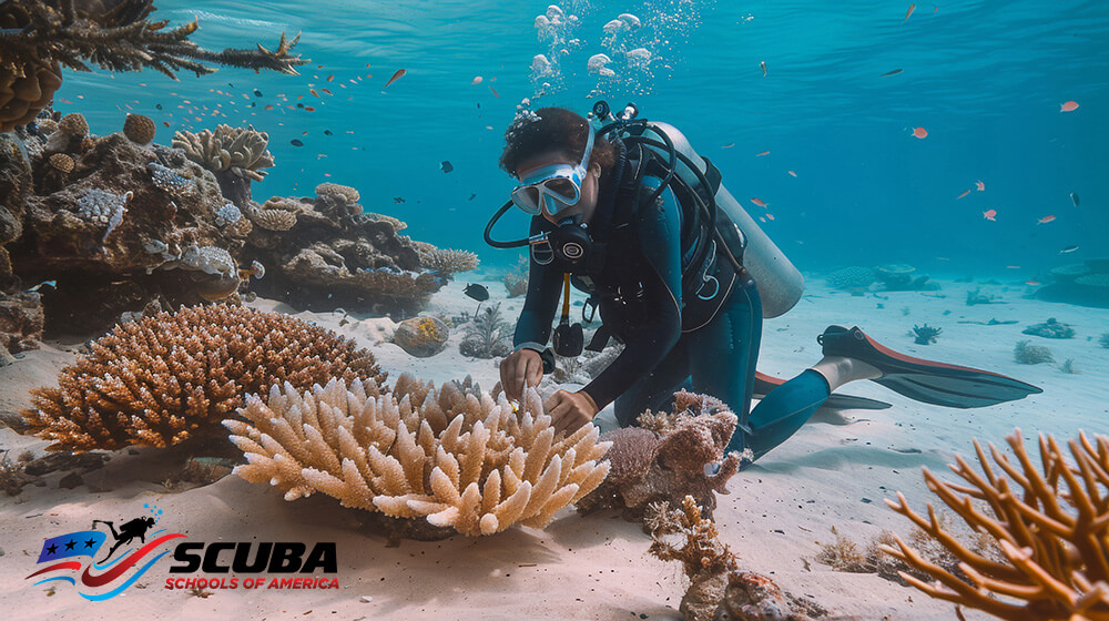 Lung Squeeze in Freediving Safety at Scuba Schools of America in Montclair, CA