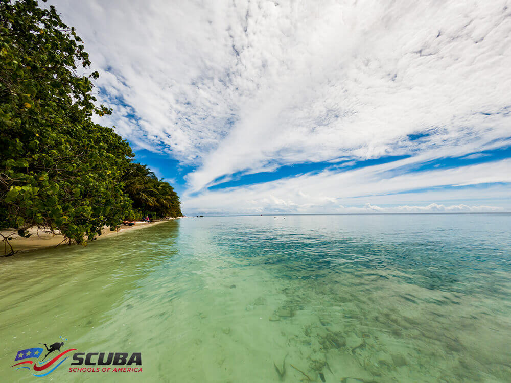 Discover the Best Snorkeling in the World-Solomon island