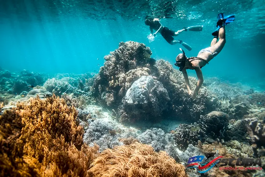 Snorkeling with Scuba Schools of America in Montclair