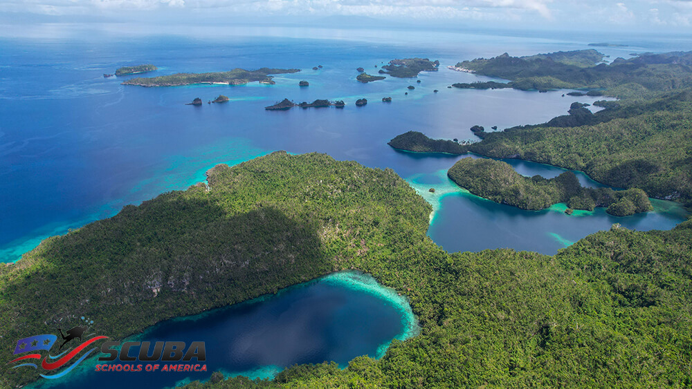 The Best Snorkeling in The World- Palau Snorkeling with SSA