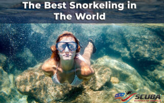 The Best Snorkeling in The World with Scuba Schools of America