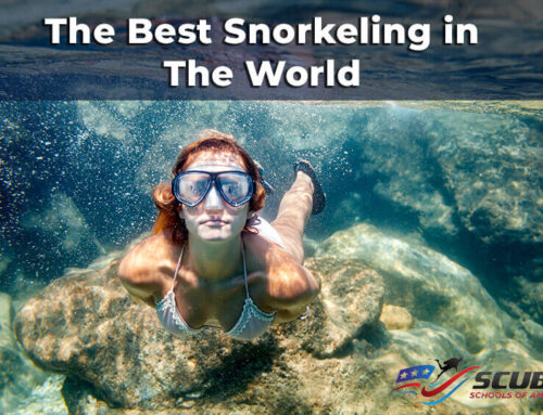 The Best Snorkeling in The World 2025