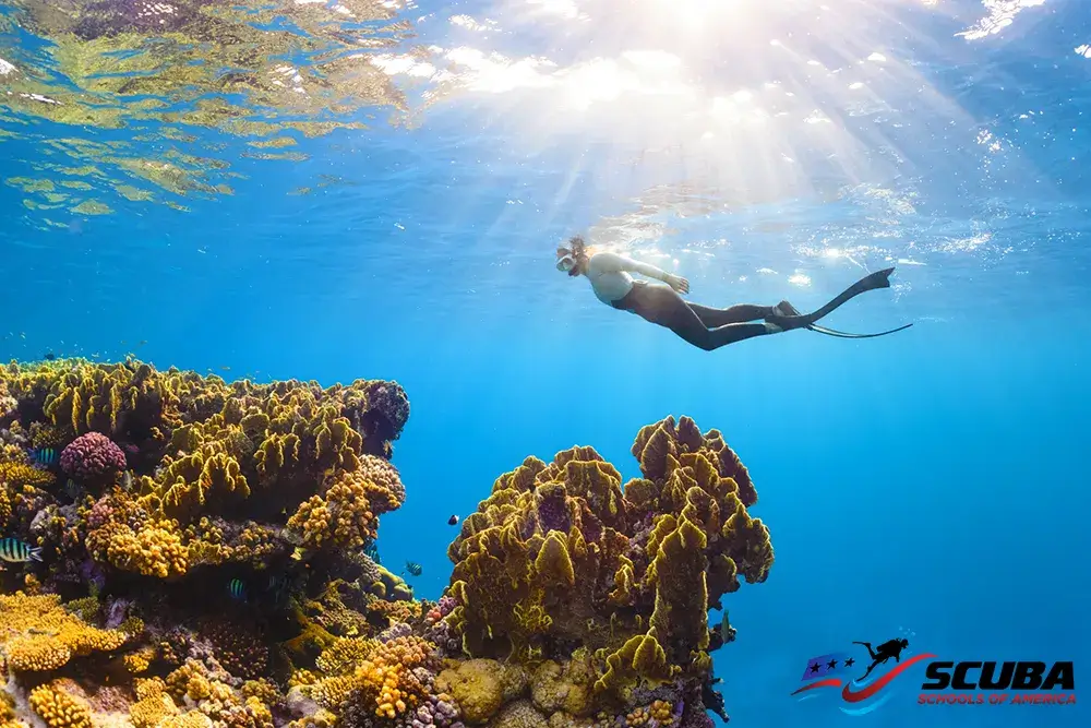 Free diving Breathing Techniques- Montclair, CA