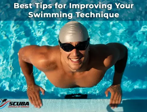 Best Tips for Improving Your Swimming Technique